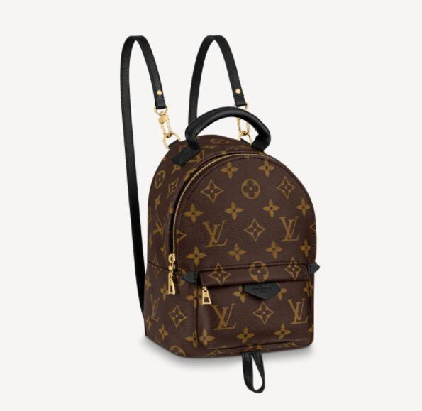 Louis vuitton palm springs mini monogram backpack