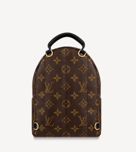 Louis vuitton palm springs mini monogram backpack