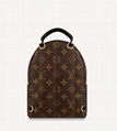 Louis vuitton palm springs mini monogram backpack