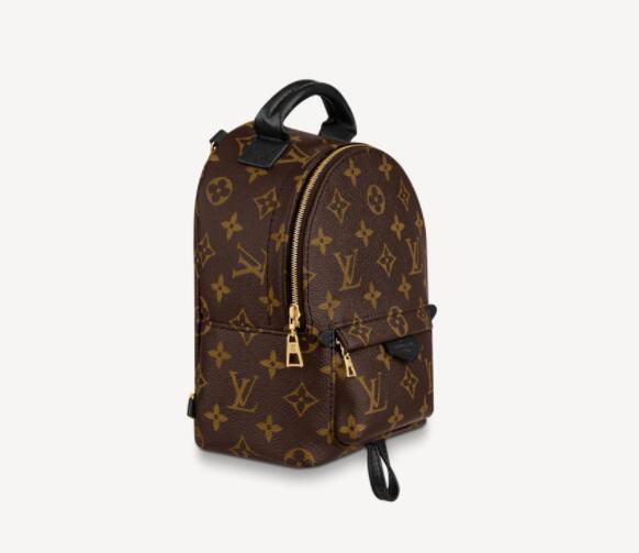 Louis vuitton palm springs mini monogram backpack