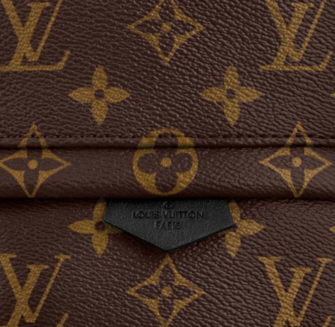 Louis vuitton palm springs mini monogram backpack