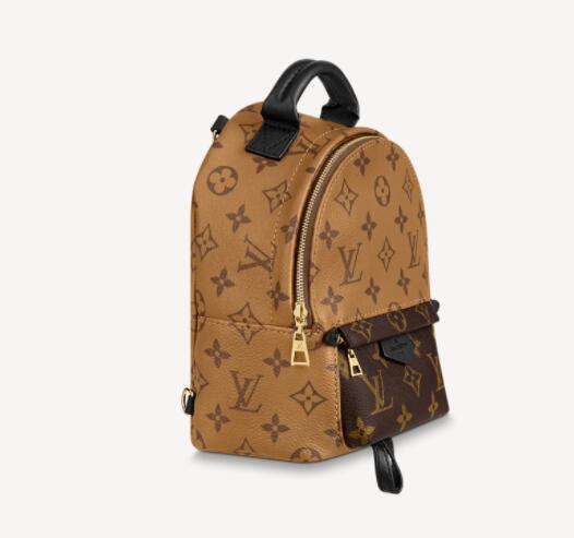 Louis vuitton palm springs mini monogram backpack