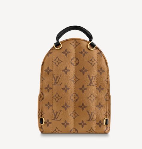 Louis vuitton palm springs mini monogram backpack