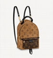 Louis vuitton palm springs mini monogram backpack