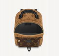 Louis vuitton palm springs mini monogram backpack