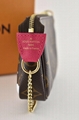 Louis Vuitton 2019 Holiday Mini Pochette Accessoires Vivienne Snow Ski Chain Bag