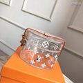 Louis Vuitton Box Scott LV GI0203 Plexiglass Monogram House trunks LV PVC BOX 