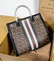 Burberry Medium Monogram Stripe E-canvas Title Bag