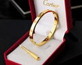 Cartier Love bracelet 10 diamonds bangle 