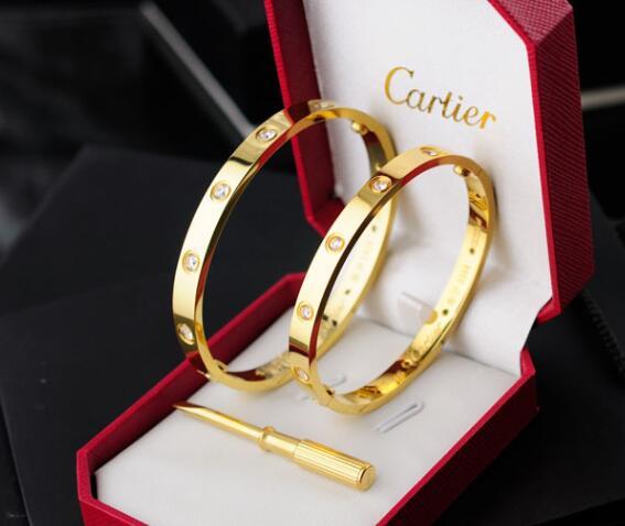 Cartier Love bracelet 10 diamonds bangle 18k cartier bracelet jewelry 5