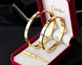 Cartier Love bracelet 10 diamonds bangle 