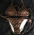 Louis Vuitton Monogram Bikini