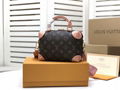 Louis Vuitton Petite Malle Souple Monogram bag