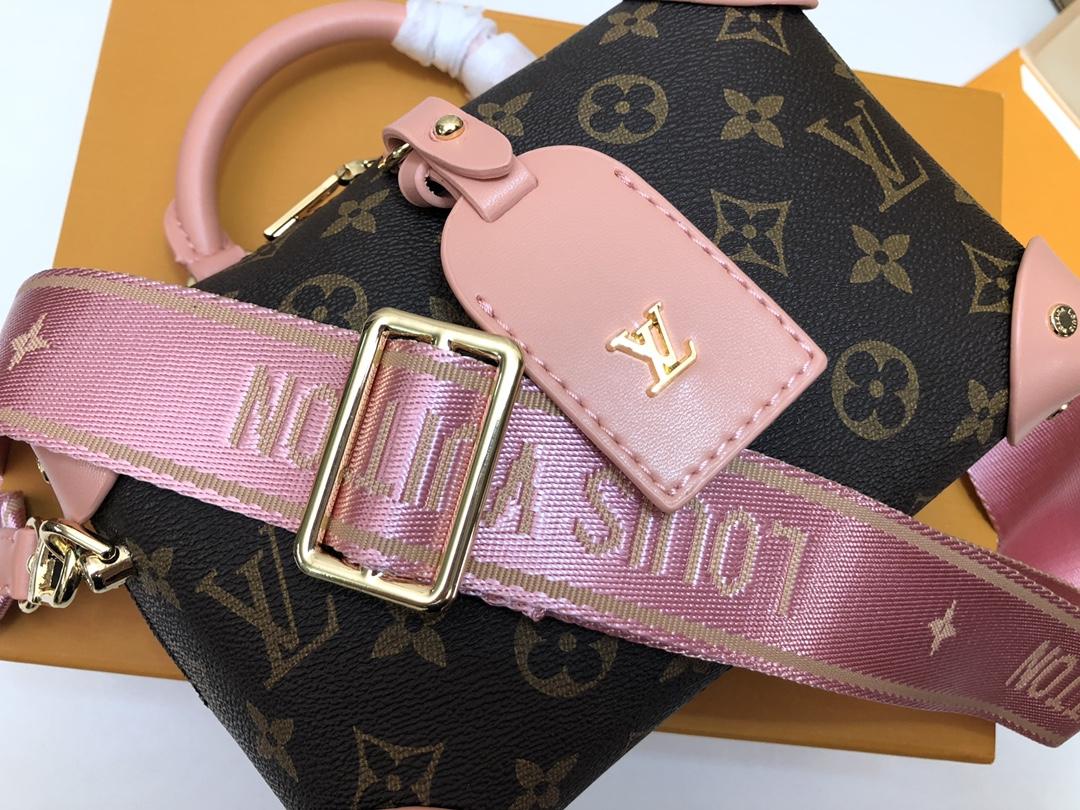 Louis Vuitton Petite Malle Souple Monogram bag