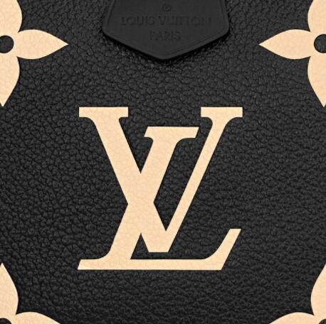 Louis Vuitton Multi Pochette Accessoires cross body bag 