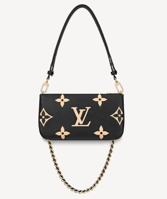 Louis Vuitton Multi Pochette Accessoires cross body bag 