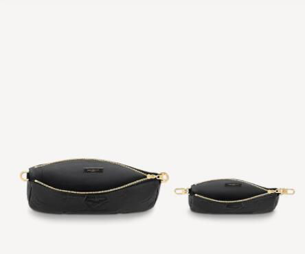 Louis Vuitton The Multi Pochette Accessoires bag