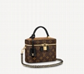 Louis Vuitton LV Unisex Vanity PM in Monogram Canvas brown