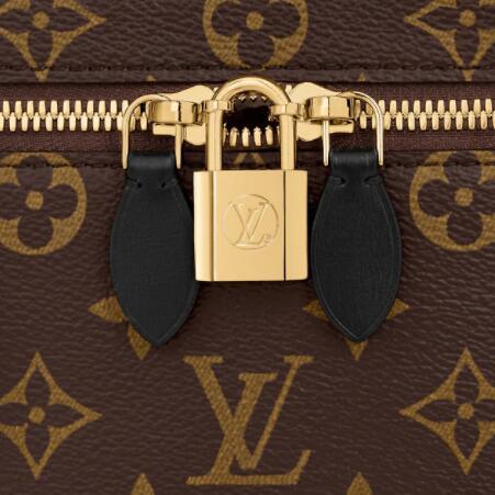 Louis Vuitton LV Unisex Vanity PM in Monogram Canvas brown