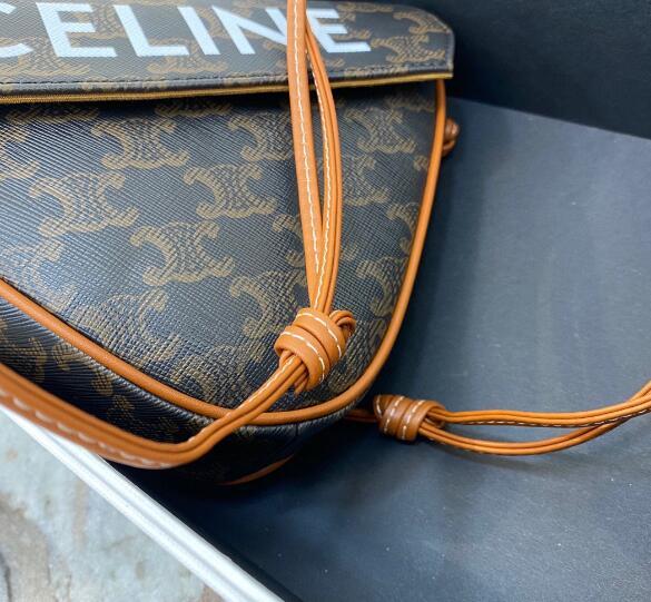 CELINE Triangle bag in Triomphe Canvas 