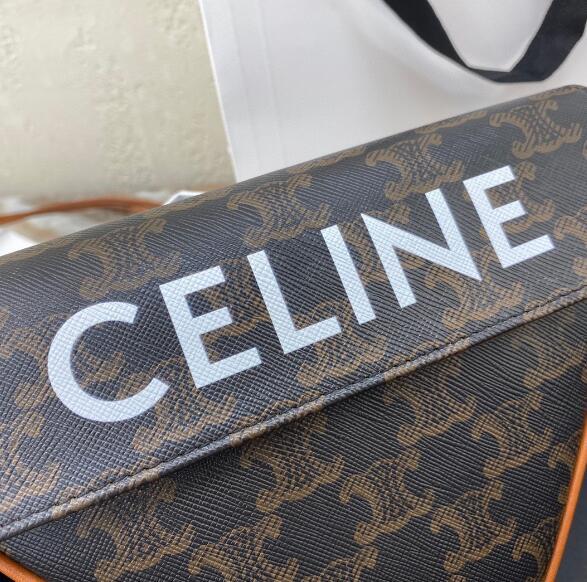 CELINE Triangle bag in Triomphe Canvas 