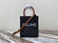 CELINE MINI VERTICAL CABAS IN TRIOMPHE CANVAS AND CALFSKIN WITH CELINE PRINT