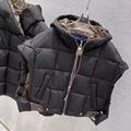 Louis Vuitton Sleeveless Pillow Puffer vest JacketLV Women's Down Vests  