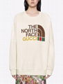 Gucci x The North Face Logo Sweatshirt Gucci Collab Web Print Logo Hoodie 