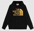 Gucci x The North Face Logo Sweatshirt Gucci Collab Web Print Logo Hoodie 