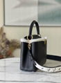 Louis Vuitton Capucines Bag with Fur LV black winter handbag