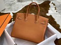 Hermes Togo Birkin 25 Tan Gold Ladies Birkin Leather Tote Handbag