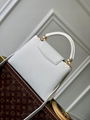 Louis Vuitton Capucines MM Bag Fashion LV Leather Capucines Bags