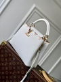 Louis Vuitton Capucines MM Bag Fashion LV Leather Capucines Bags