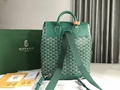 Goyard Goyardine Calfskin Alpin MM Backpack Green Goyard Cloth Backpack
