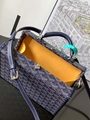 Goyard Goyardine Grand Hotel Trunk Bag 