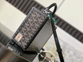 Goyard Goyardine Grand Hotel Trunk Bag 