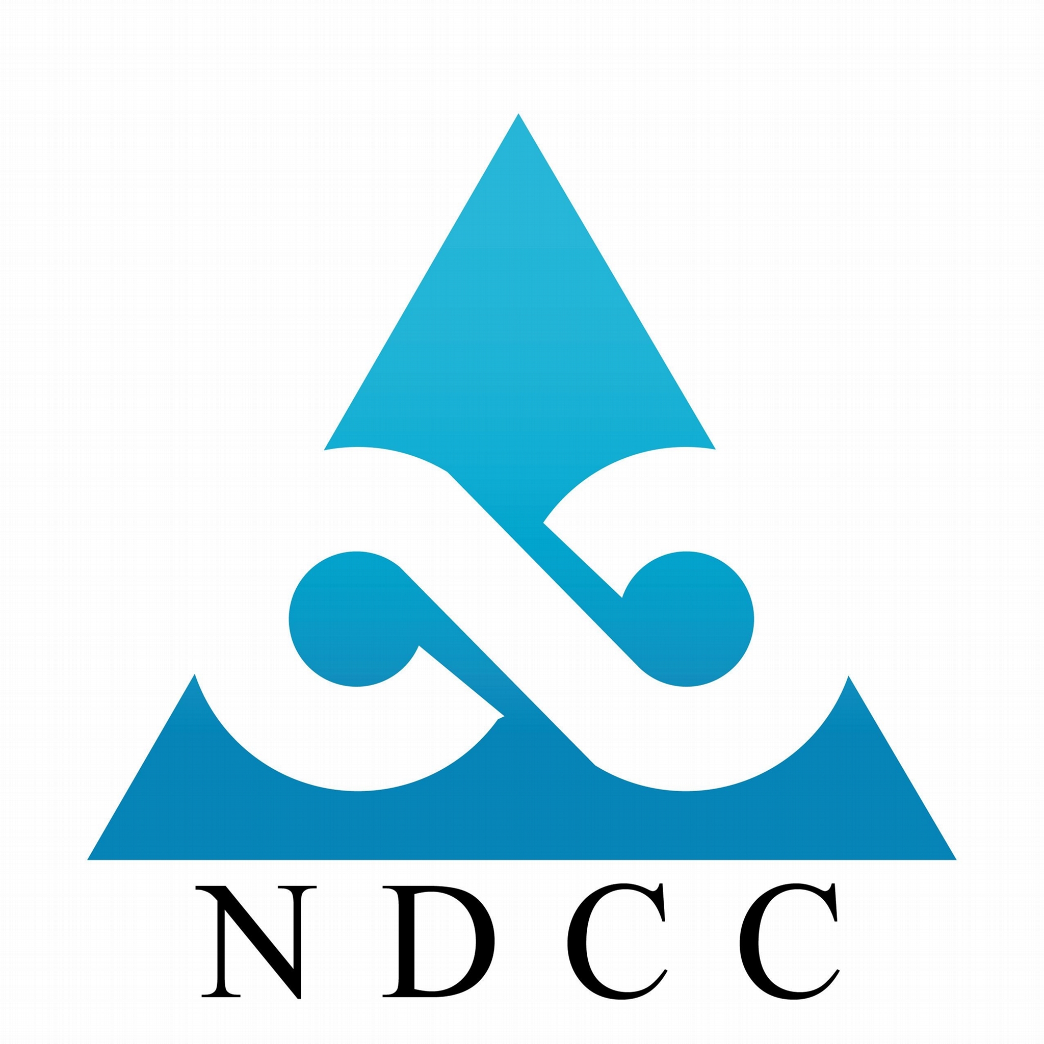 Qingdao Nalong Dingsheng Commerce Co., Ltd.