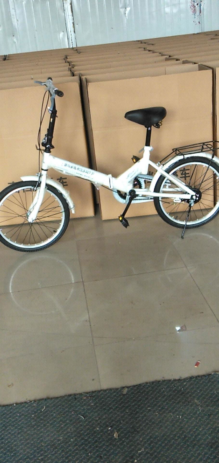 20 inch bike 2