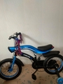 kids bike