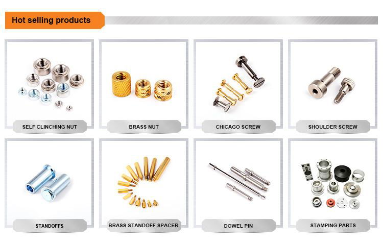 Customized Stainless Steel Passivated Knurled Shoulder Screw 5