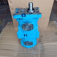 長江雙聯泵型號大全 CBY3080/2016-2FR  佳和液壓