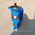   高压 双联泵 供应 常林 50E-5 佳和液压 2