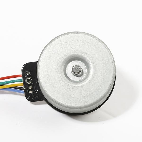 BL4525 factory Price 24V 23W 45mm bldc brushless dc motor 3200RPM for Fascia 3