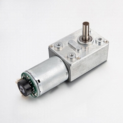 32mm Worm Gear Motor 6v 12V 12 Volt 24v Reduction Gearbox Motor for vending