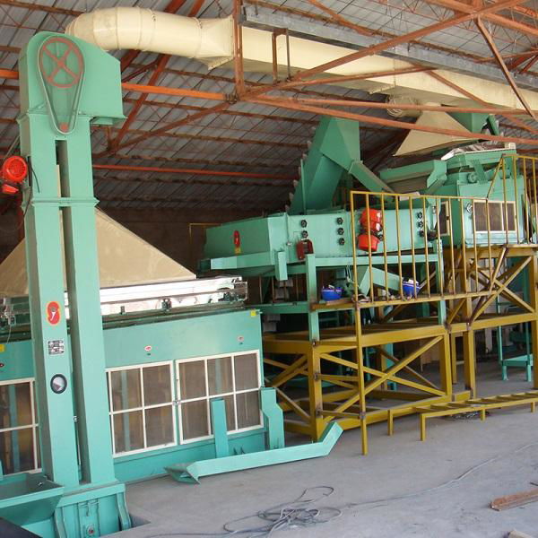 Mung Bean Soybean Grain Cleaning Machine Production Plant