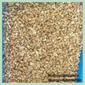 Various Sizes Walnut Kernels Supplier First Quality Walnut Kernel 2