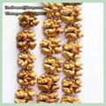 Various Sizes Walnut Kernels Supplier First Quality Walnut Kernel 5