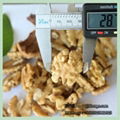 Top Grade Walnut Kernel Halves Walnut Kernel