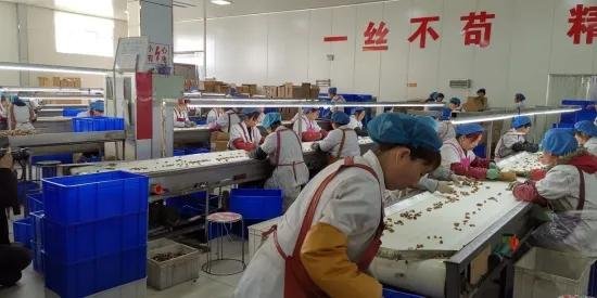 China Aaaa Cheap Quality Walnut Kernel 2