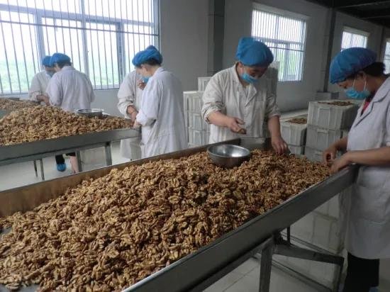 China Aaaa Cheap Quality Walnut Kernel 3